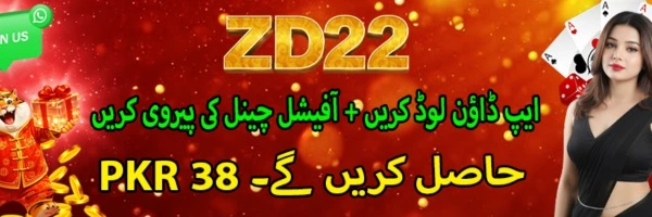 ZD22 APK